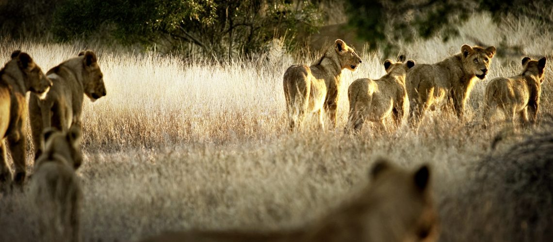 3452-3_doppelquer_03