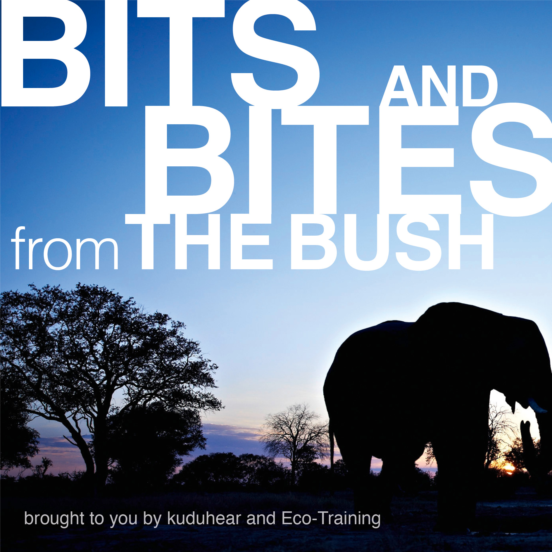 Bits & Bites from the Bush: Wilderness-wise with Eco-Training